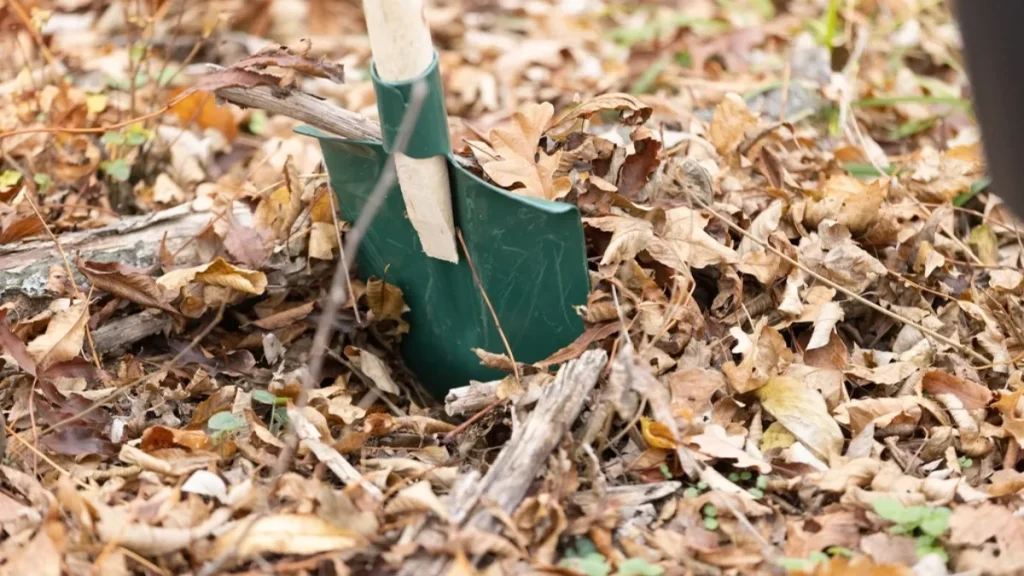 Outil de jardinage